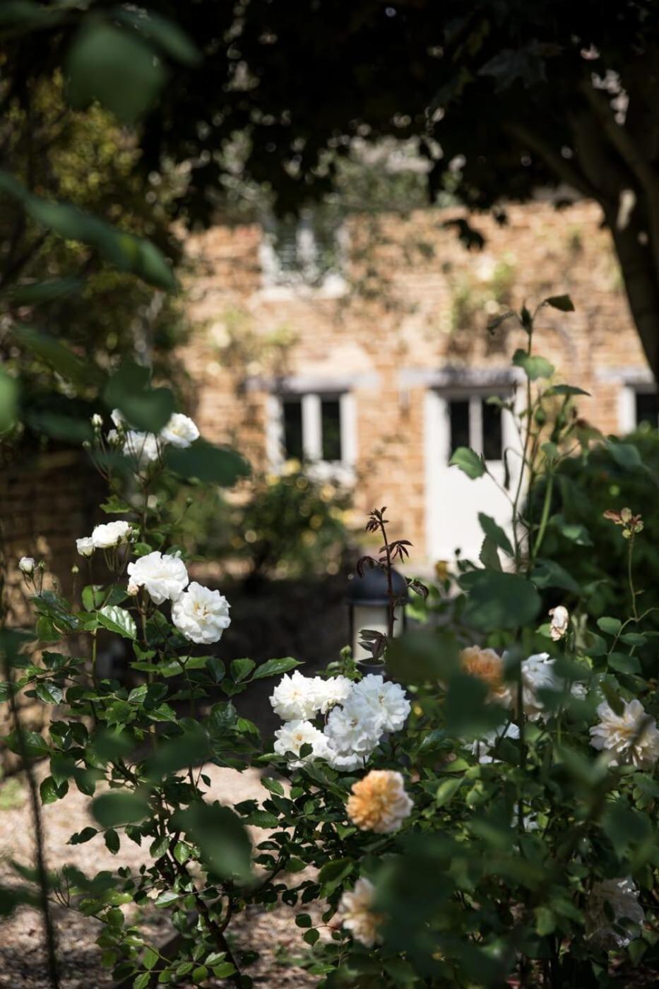 Two Rose Walk Cottage Cotswolds Moreton-in-Marsh Luaran gambar